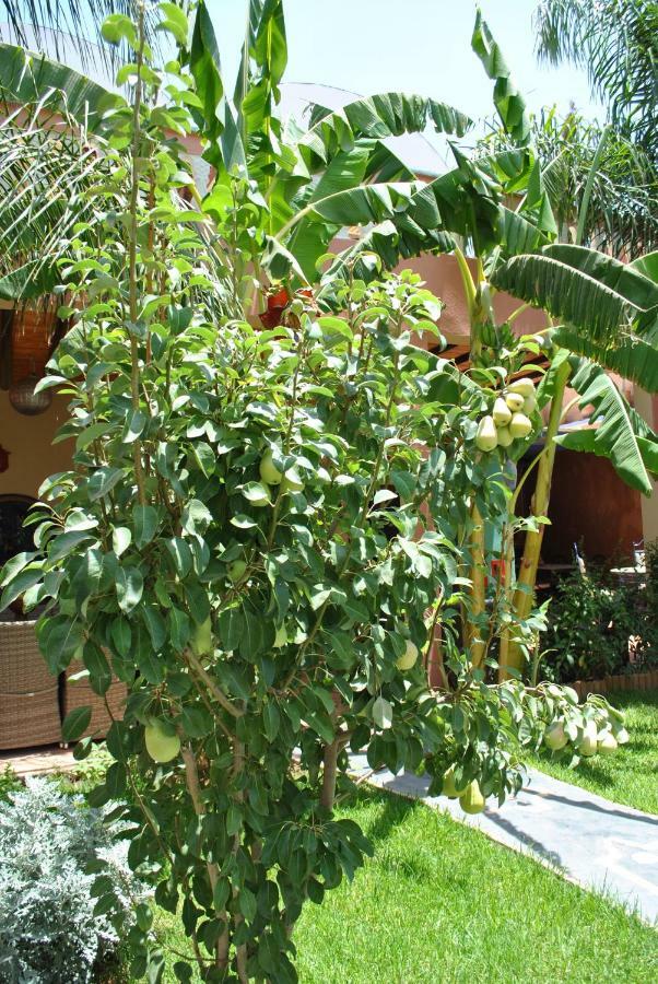 Auberge Kasbah Darla Tahanaout Luaran gambar